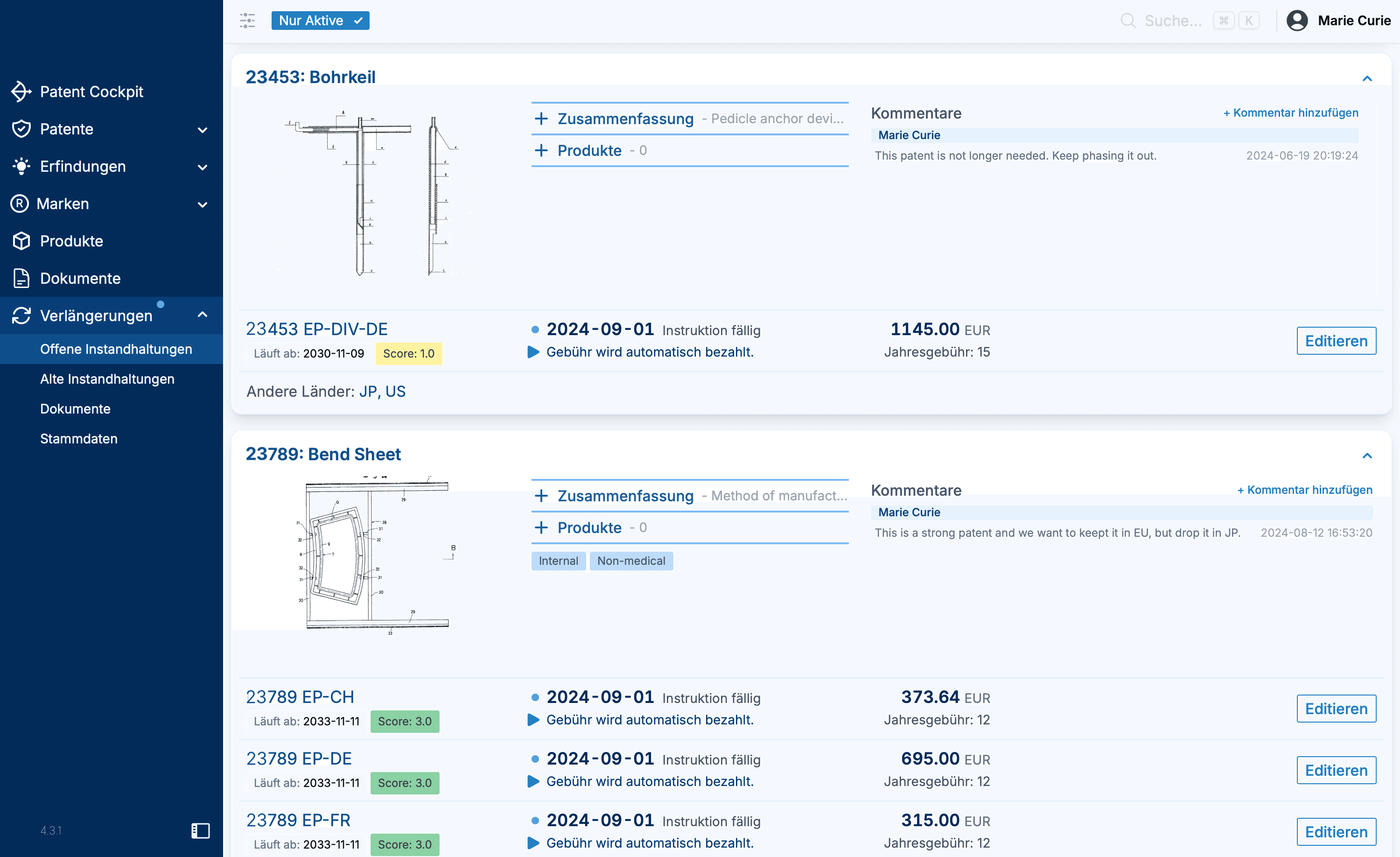 Renewal Fees